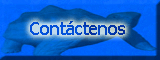 Contactenos
