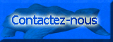 Contactez - nous