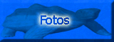 Foto - Pictures - Photos