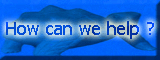 How can we help ?