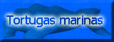 Tortugas marinas