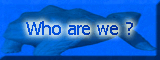 Who we are